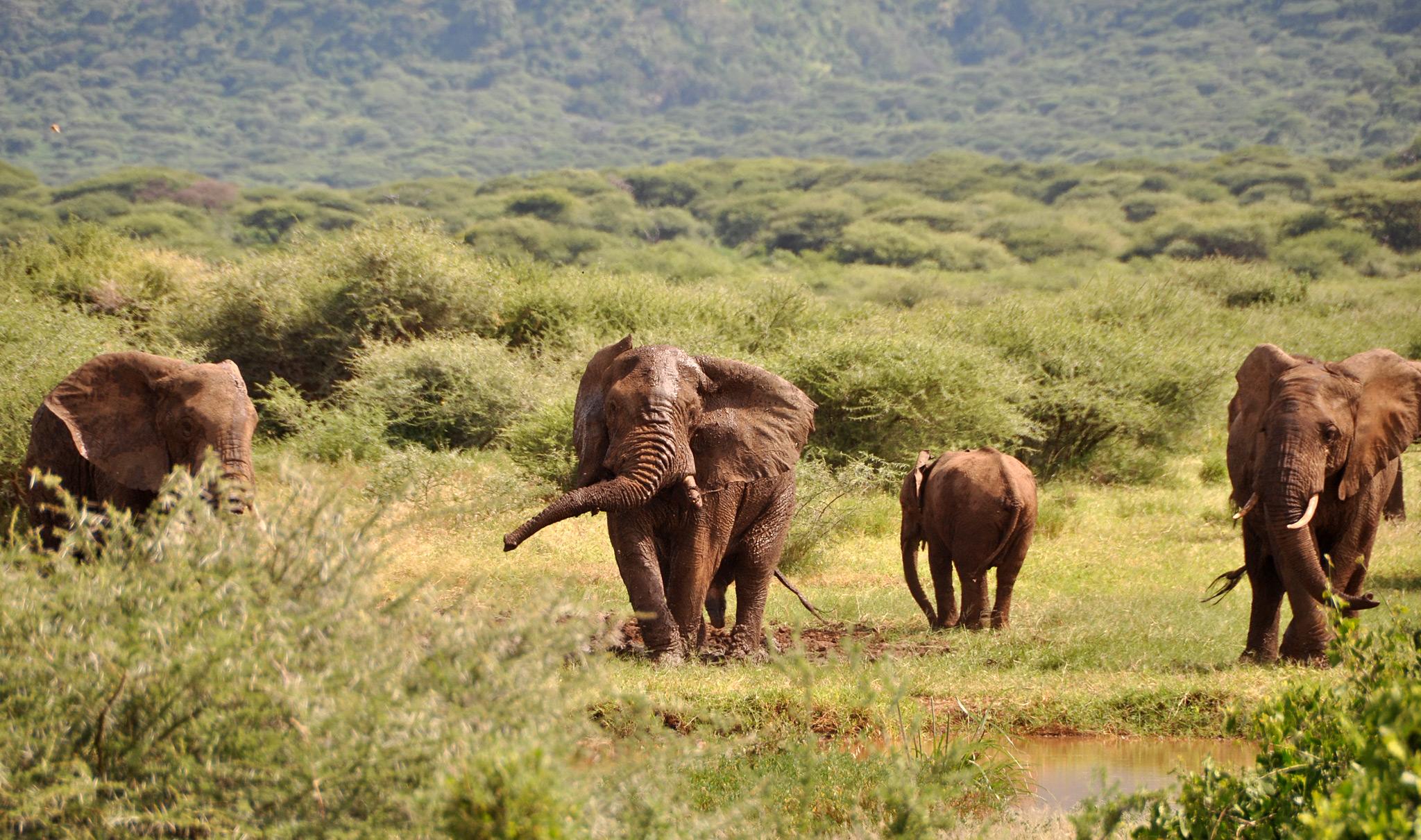 Parks and Reserves in Uganda