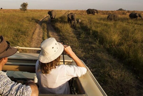 8-Day All-Inclusive Uganda Flying Safari