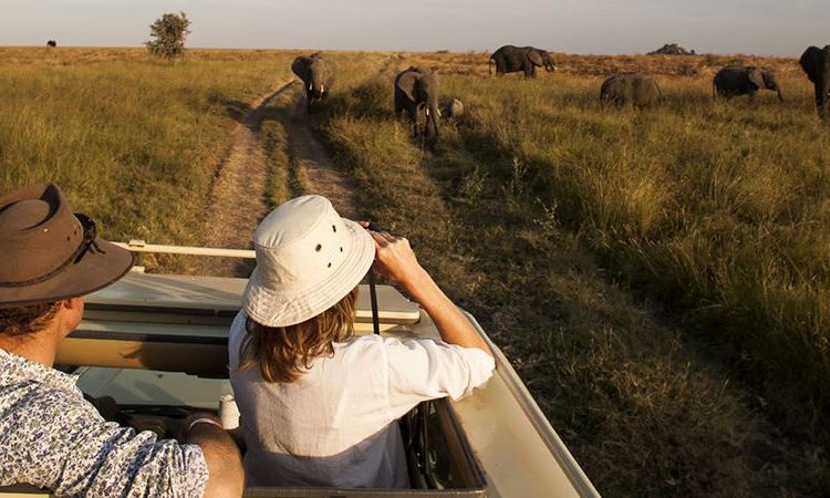 8-Day All-Inclusive Uganda Flying Safari
