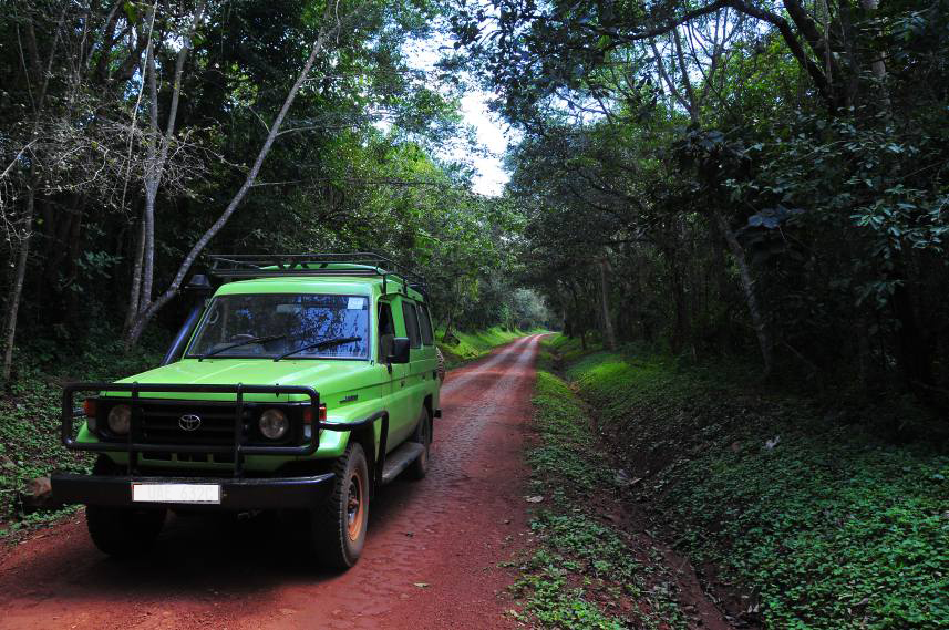 Road Trip at Mgahinga Gorilla National Park: Local’s Guide for foodies