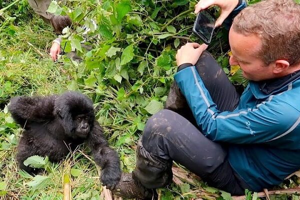 Seasonal Highlights for gorilla trekking in Toro Kingdom for foodies