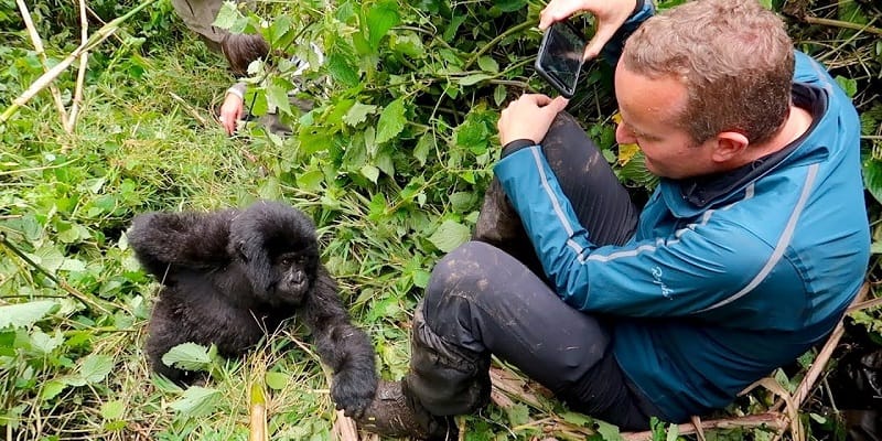 Seasonal Highlights for gorilla trekking in Toro Kingdom for foodies