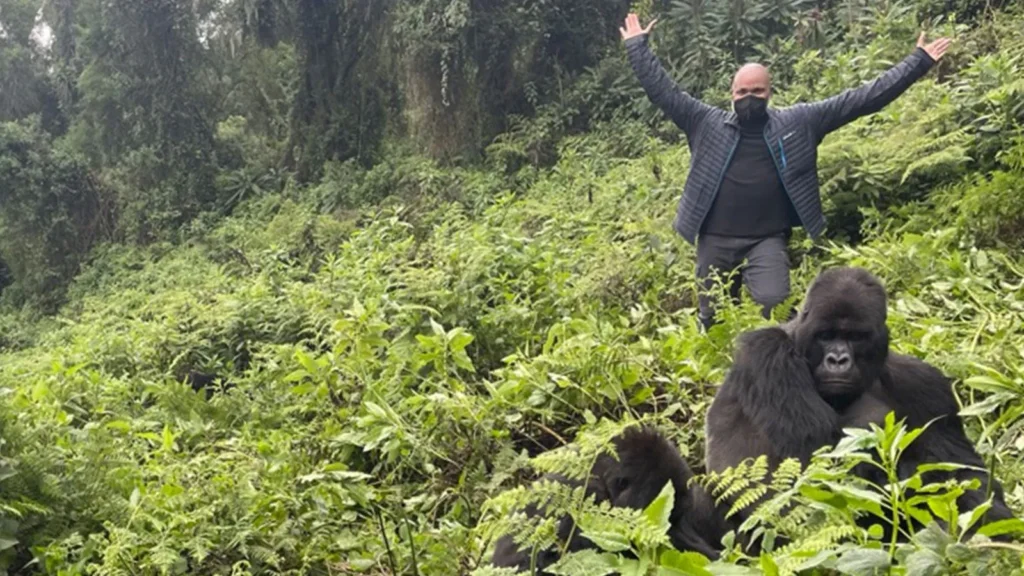 Semuliki National Park: Budget-Friendly Ideas to gorilla trekking for avid hikers
