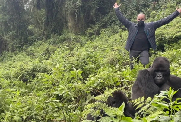 Semuliki National Park: Budget-Friendly Ideas to gorilla trekking for avid hikers