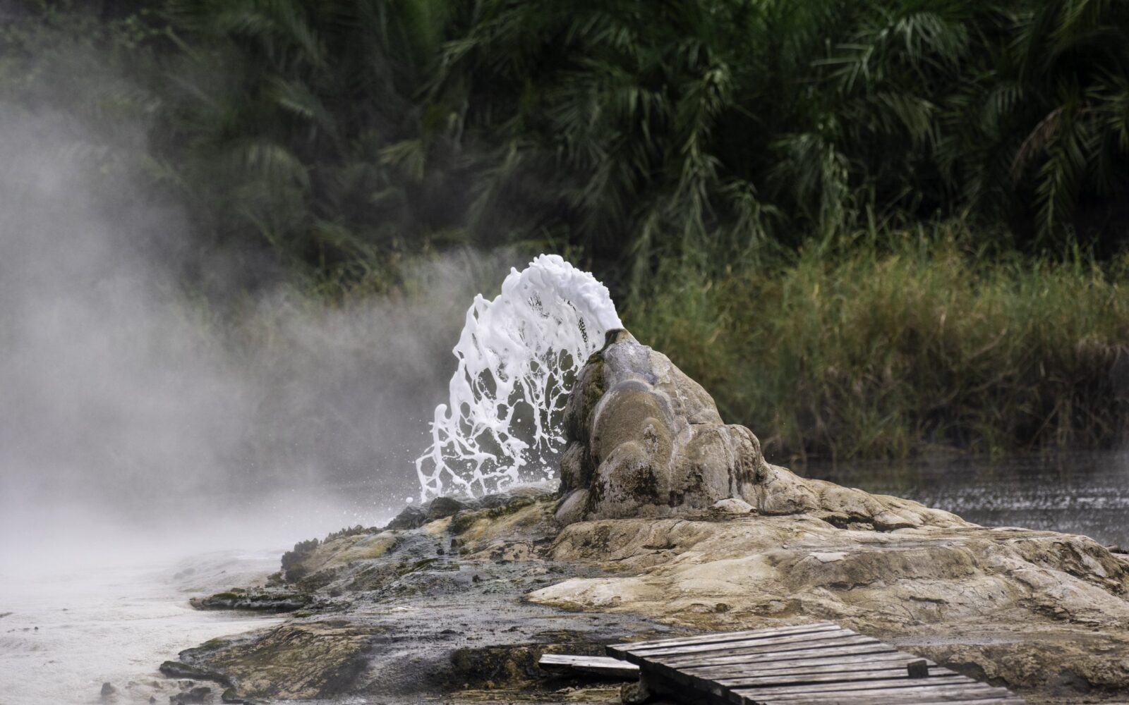 Semuliki National Park Hiking: Best Time to Visit for honeymooners