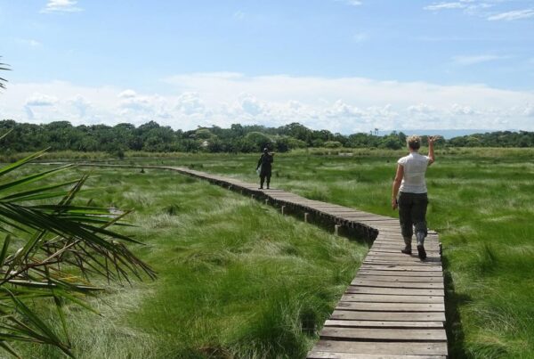 Semuliki National Park Hiking: Best Time to Visit for honeymooners