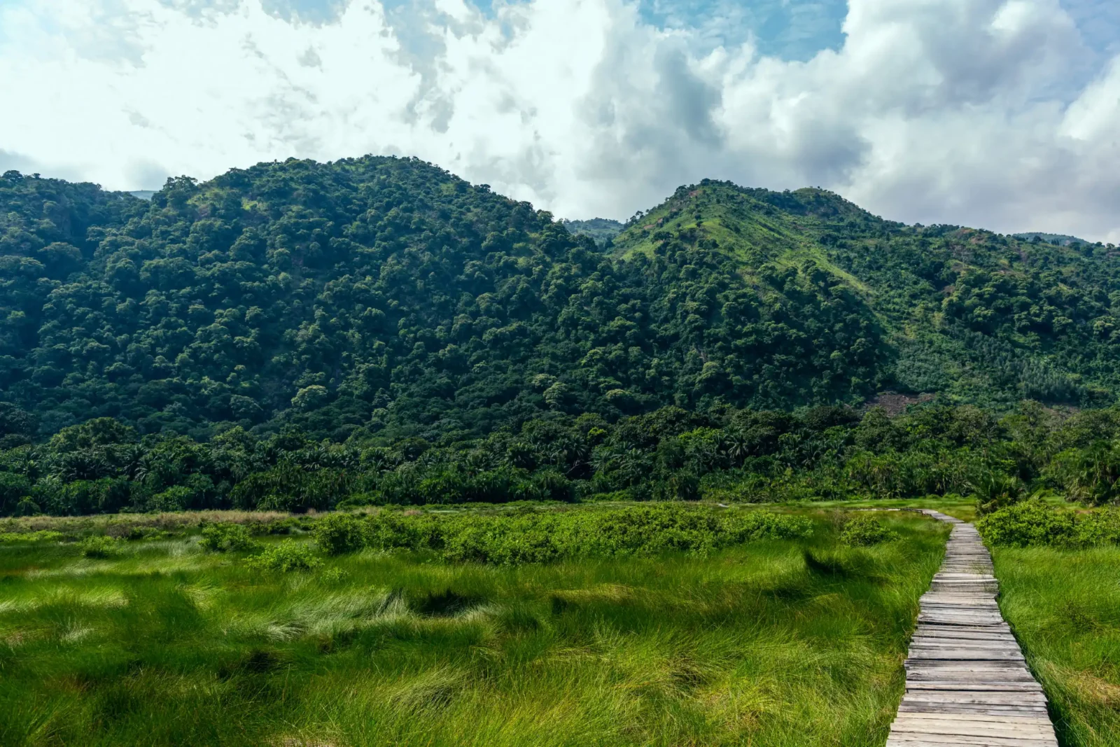 Semuliki National Park: One Week Plan to luxury escape for groups