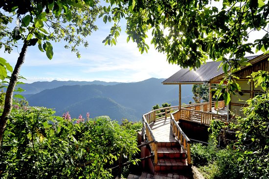 The Hidden Gems: luxury escape at Bwindi Impenetrable Forest for avid hikers