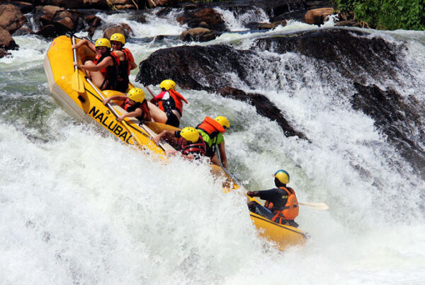 The One Week Plan: game drive at Jinja for first-time visitors