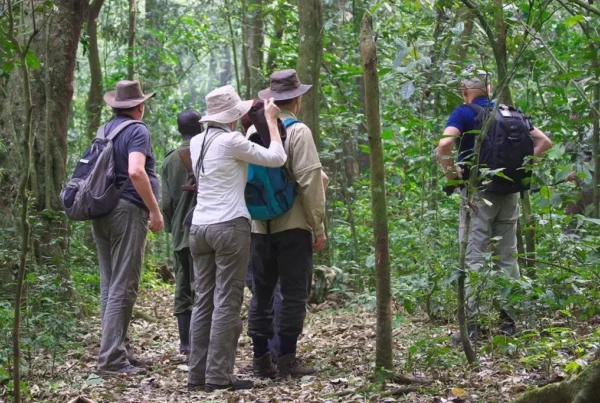 The Where to Stay: birdwatching hotspot at Kibale National Park for solo travelers