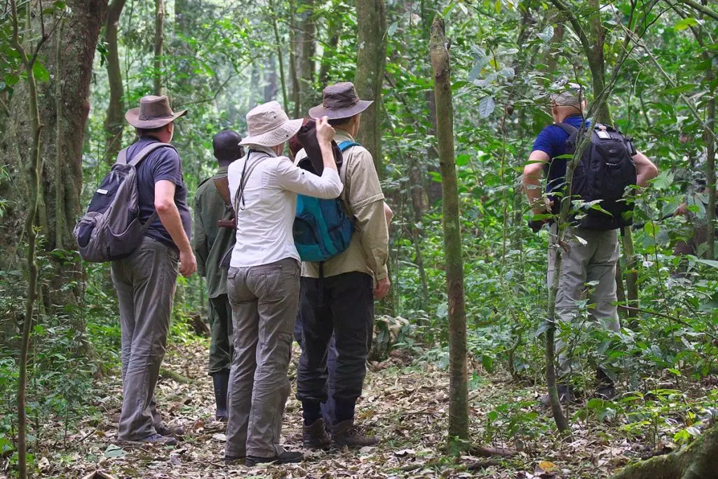 The Where to Stay: birdwatching hotspot at Kibale National Park for solo travelers