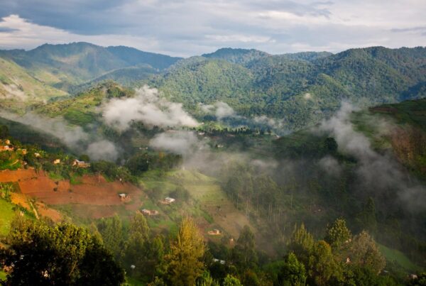 The weather and climate in Uganda