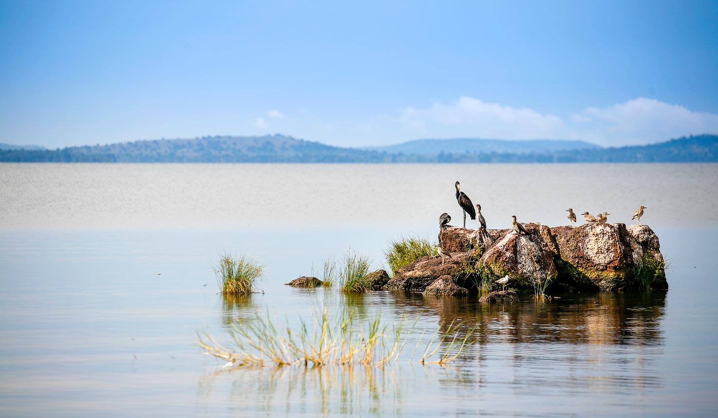 Top 10 Experiences — Ssese Islands wildlife photography tips with kids