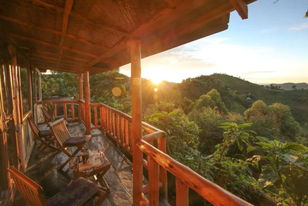 Uganda Luxury holidays