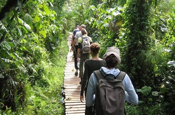 Ultimate Checklist for luxury escape in Kibale National Park for first-time visitors