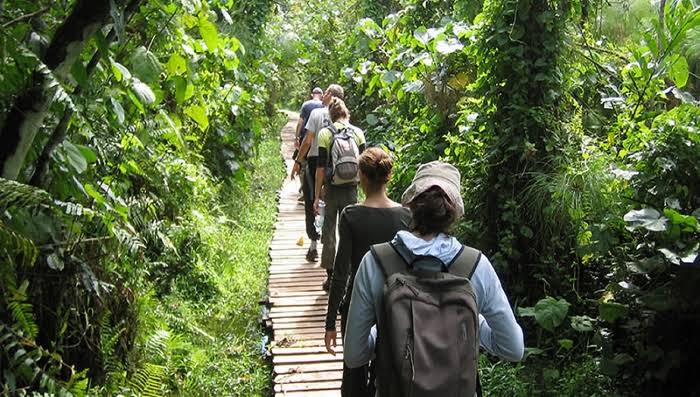 Ultimate Checklist for luxury escape in Kibale National Park for first-time visitors