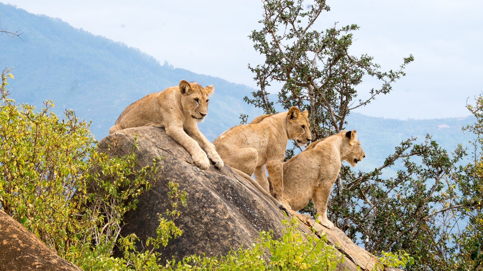 Visiting Uganda in April