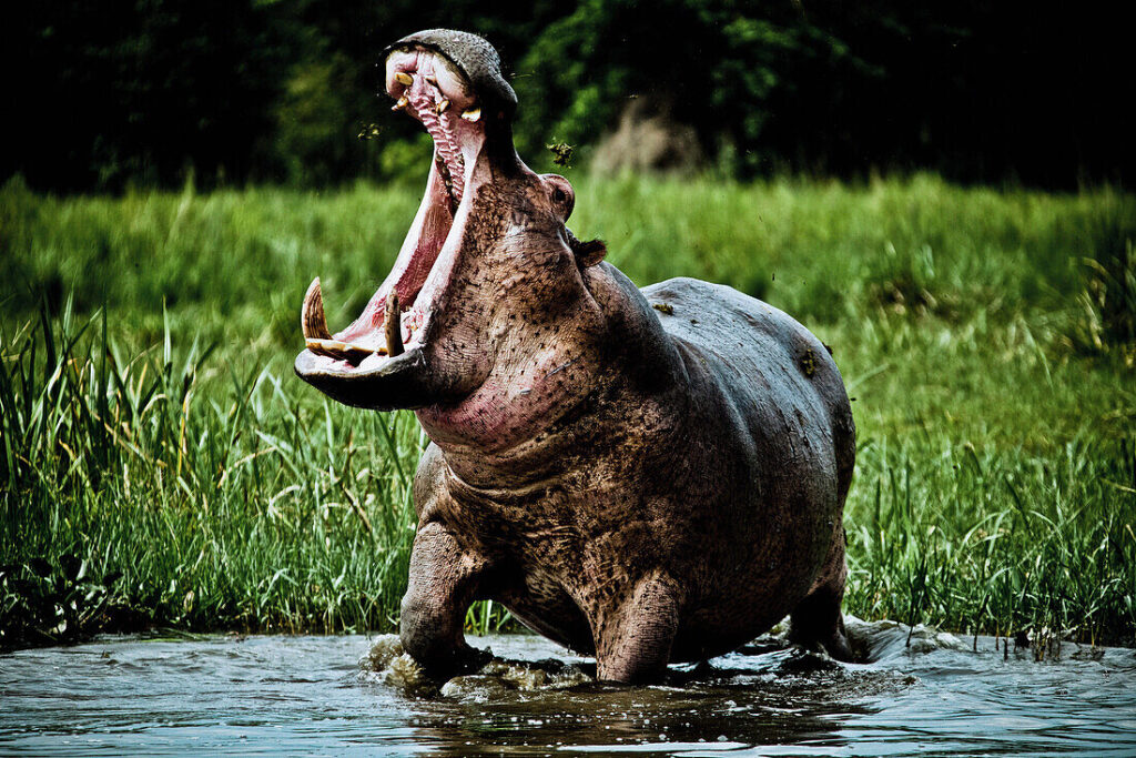 Visiting Uganda in July