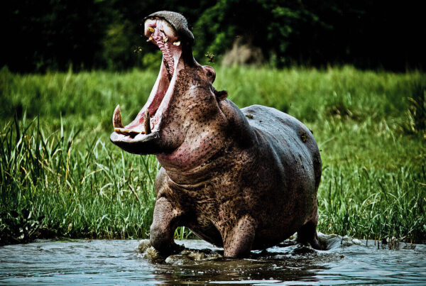 Visiting Uganda in July