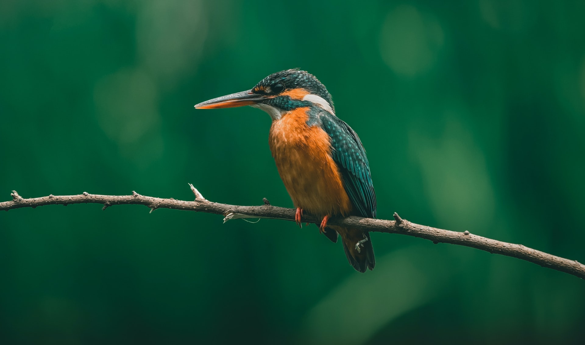 Visiting Uganda in October