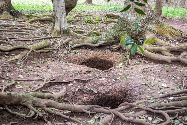 Walumbe Tanda pits of death in Uganda