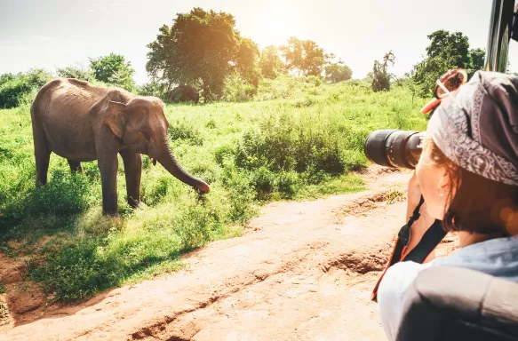 Weekend Itinerary: Fort Portal wildlife photography tips for families