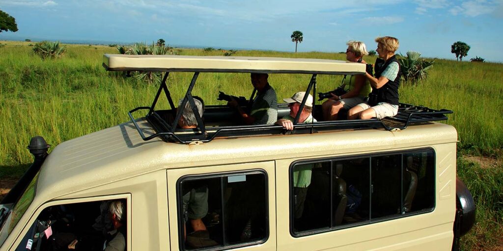 Where to go Game Drives & Big Five in Uganda?