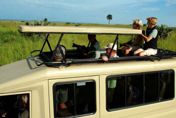 Where to go Game Drives & Big Five in Uganda?