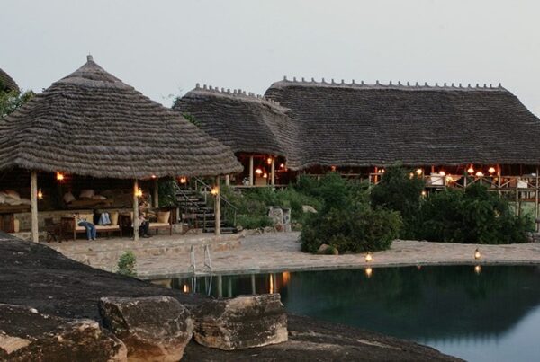 Where to stay on Game Drives & Big Five in Uganda?