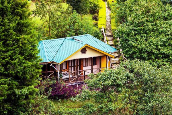 Where to stay on your gorilla trekking in Uganda?