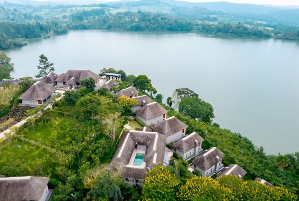 Where to stay while chimpanzee habituation in Uganda?