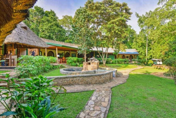 Where to stay while chimpanzee tracking in Uganda?