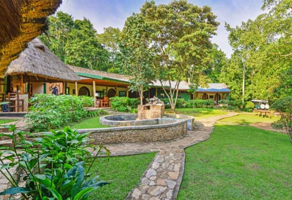 Where to stay while chimpanzee tracking in Uganda?