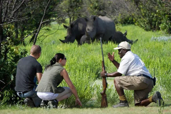 Ziwa Rhino Sanctuary