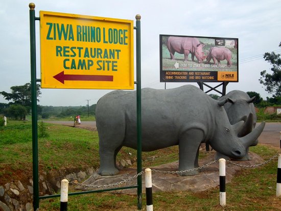 Luxury Picks: Ziwa Rhino Sanctuary budget travel guide for groups