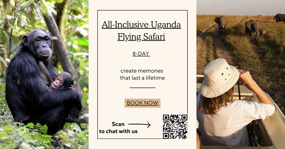 destination ad like package to kyambura