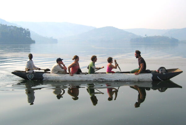 6-Day Bwindi NP, Queen Elizabeth, Kibale & Lake Bunyonyi