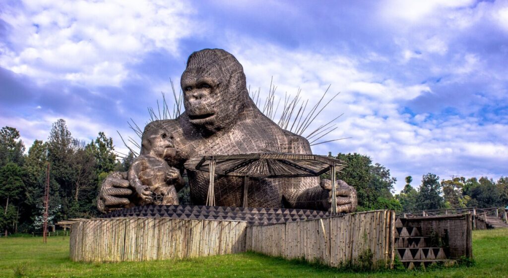 7-Day Volcanoes National Park Adventure