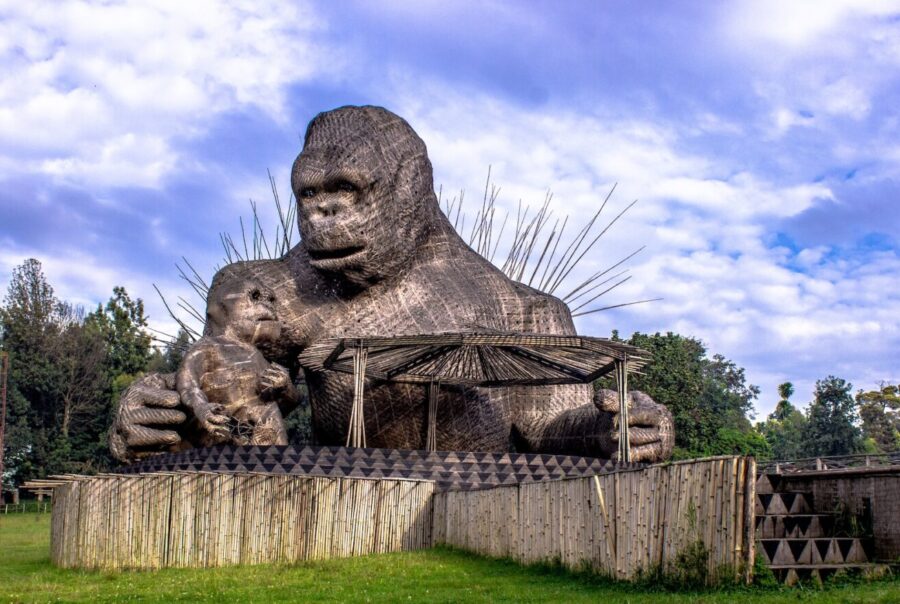 7-Day Volcanoes National Park Adventure
