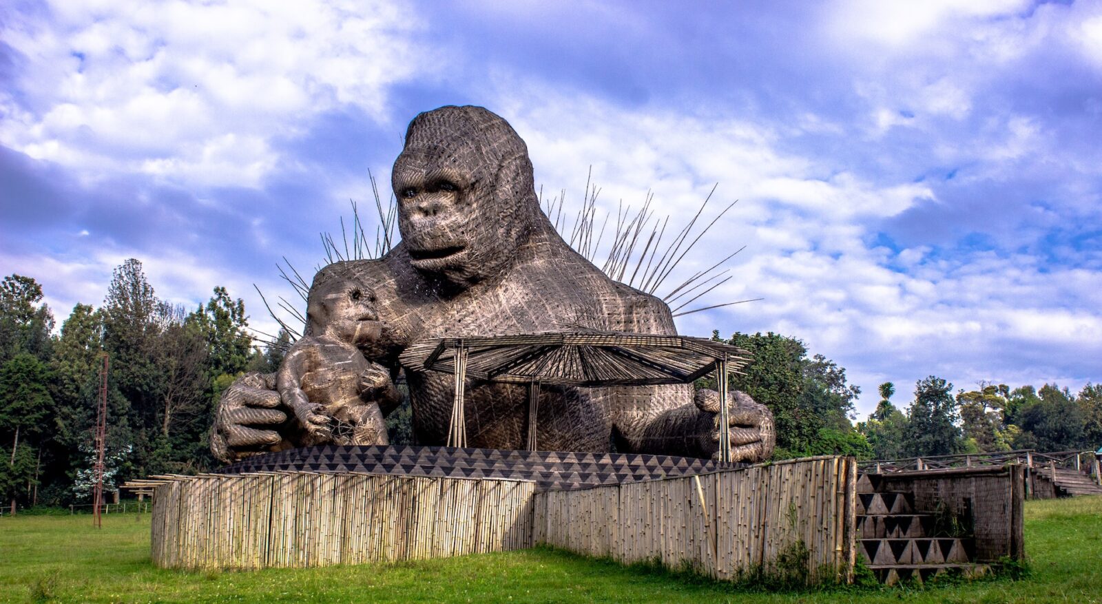 7-Day Volcanoes National Park Adventure