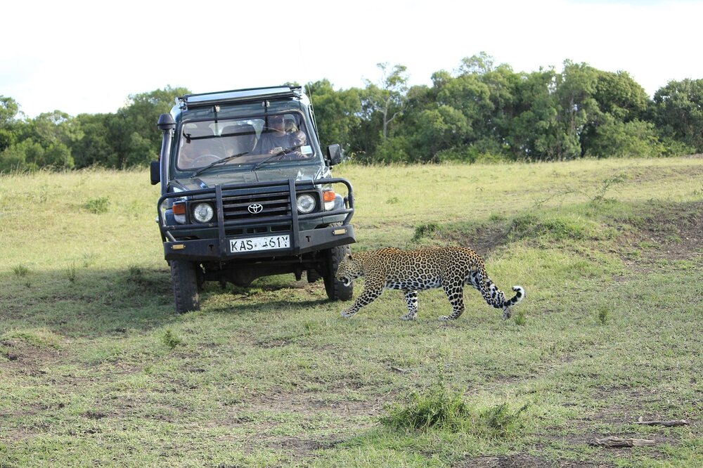 A 3 day safari to Masai mara game reserve
