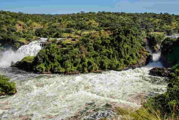 A Photographer’s Paradise: Capturing Murchison Falls National Park.