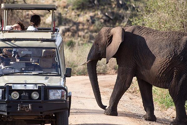 Adventure Road Trip to Kidepo Valley National Park