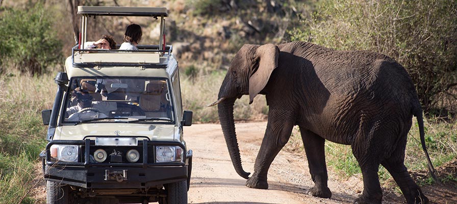 Adventure Road Trip to Kidepo Valley National Park