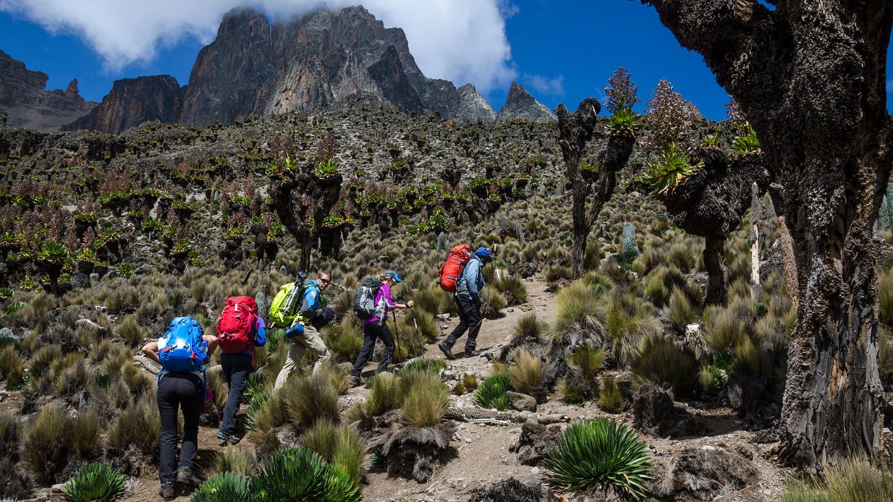 Affordable Hiking Tours in Mount Elgon National Park