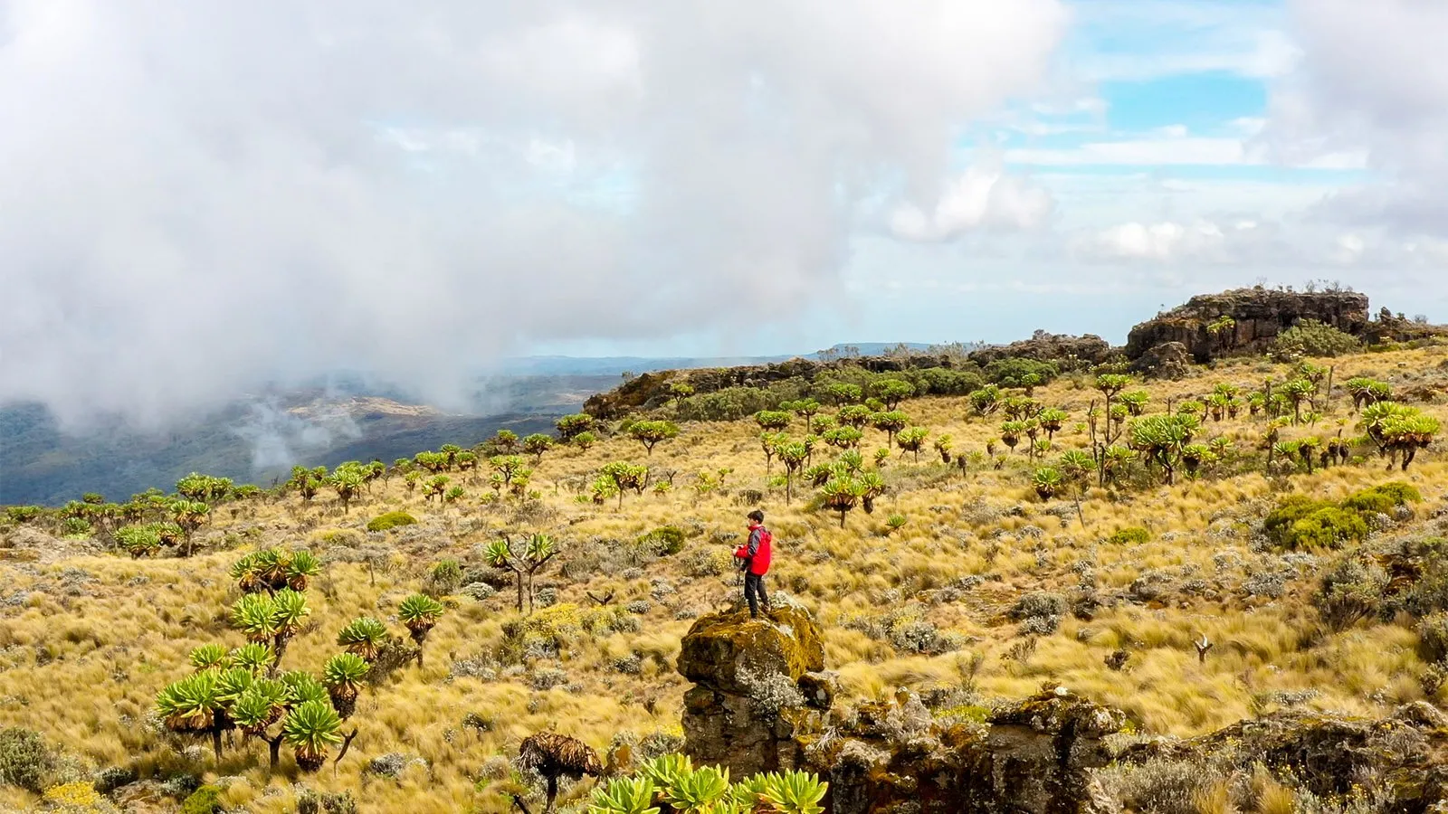 Best Time to Climb Mount Elgon in Uganda