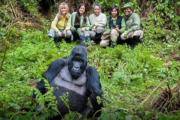 Best Time to Visit Mgahinga Gorilla National Park
