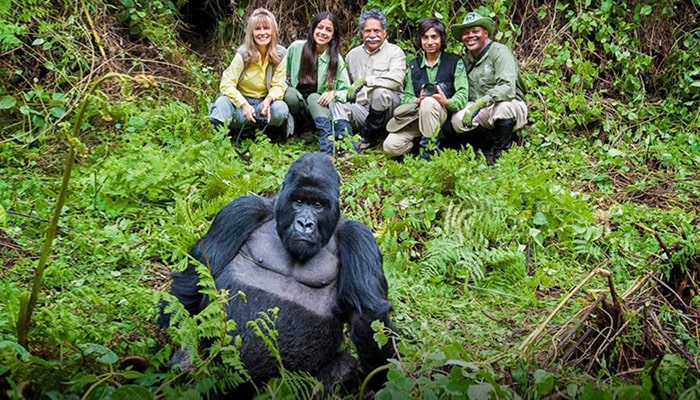 Best Time to Visit Mgahinga Gorilla National Park