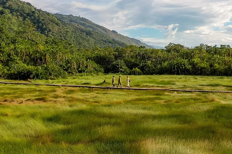 Best Time to Visit Semuliki National Park