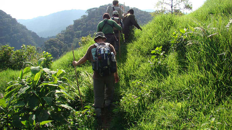 Bisoke Hiking